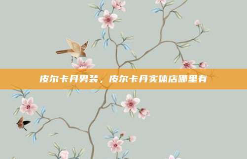 皮尔卡丹男装，皮尔卡丹实体店哪里有