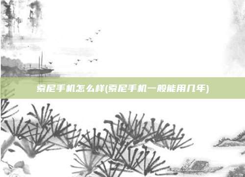 索尼手机怎么样(索尼手机一般能用几年)