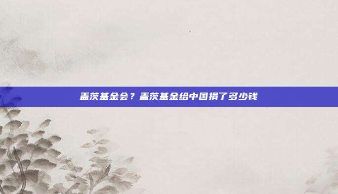 盖茨基金会？盖茨基金给中国捐了多少钱
