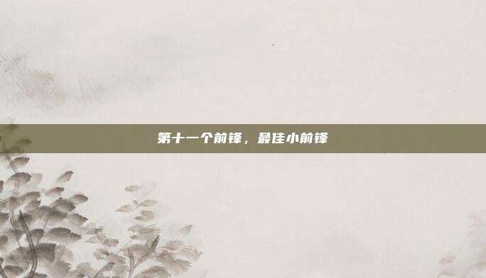 第十一个前锋，最佳小前锋