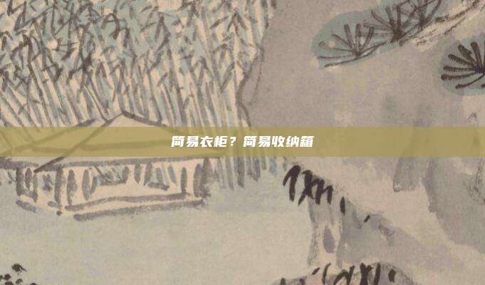 简易衣柜?简易收纳箱