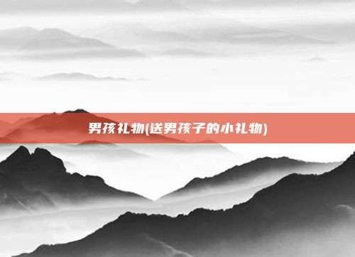 男孩礼物(送男孩子的小礼物)