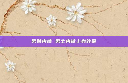 男装内裤 男士内裤上身效果