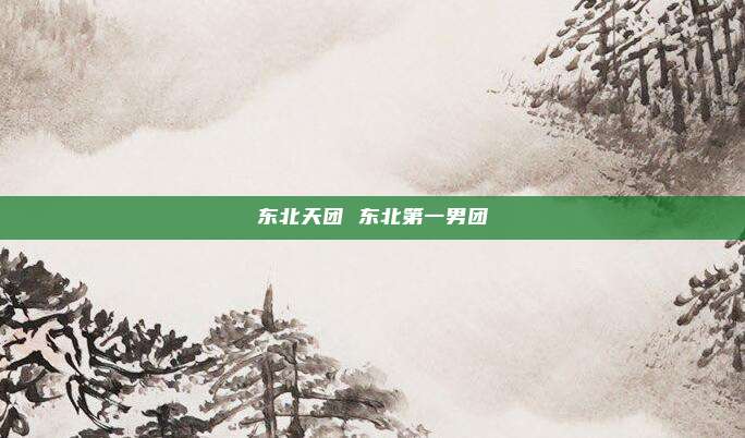 东北天团 东北第一男团