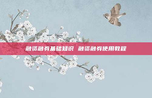 融资融券基础知识 融资融券使用教程