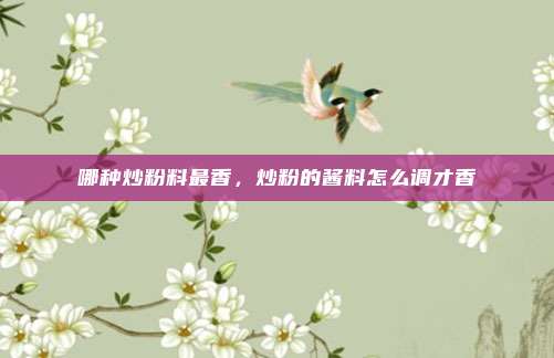 哪种炒粉料最香，炒粉的酱料怎么调才香