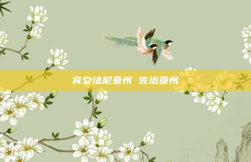 宾夕法尼亚州 佐治亚州
