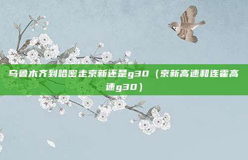 乌鲁木齐到哈密走京新还是g30（京新高速和连霍高速g30）