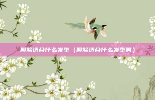 圆脸适合什么发型（圆脸适合什么发型男）