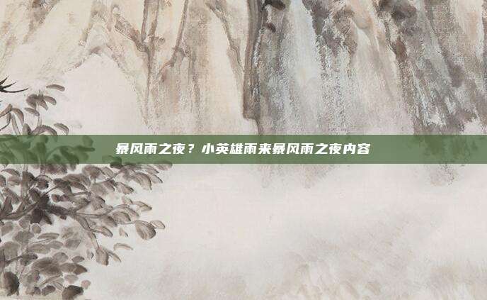 暴风雨之夜?小英雄雨来暴风雨之夜内容