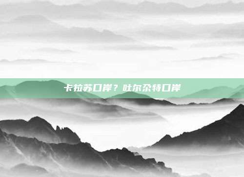 卡拉苏口岸?吐尔尕特口岸