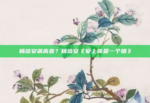 杨培安飙高音?杨培安《爱上你是一个错》