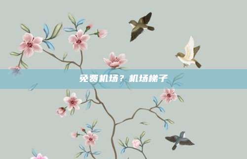 免费机场?机场梯子