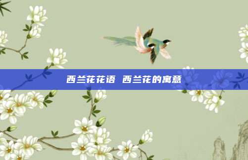 西兰花花语 西兰花的寓意