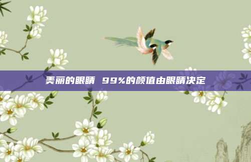 美丽的眼睛 99%的颜值由眼睛决定