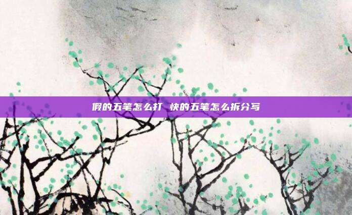 假的五笔怎么打 快的五笔怎么拆分写