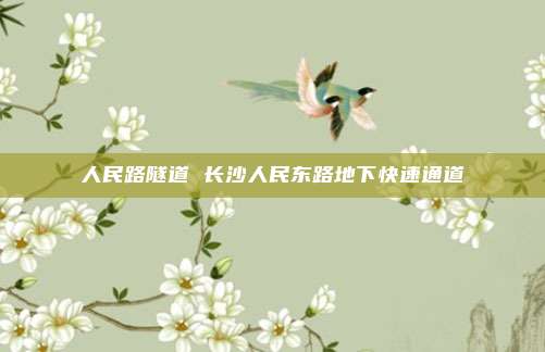 人民路隧道 长沙人民东路地下快速通道