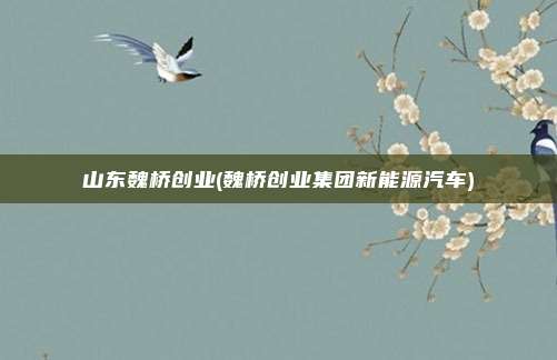 山东魏桥创业(魏桥创业集团新能源汽车)