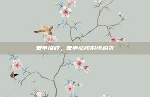 苯甲酰胺，苯甲酰胺的结构式