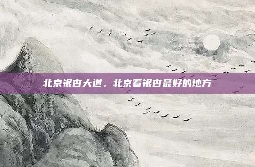 北京银杏大道，北京看银杏最好的地方