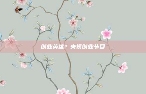 创业英雄?央视创业节目