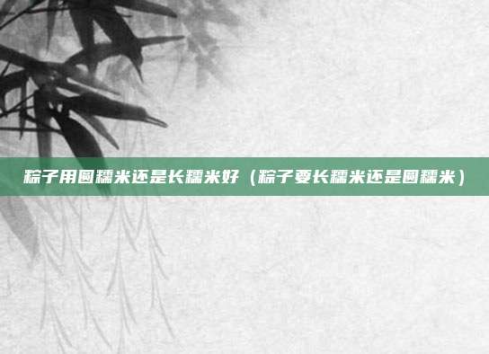 粽子用圆糯米还是长糯米好（粽子要长糯米还是圆糯米）