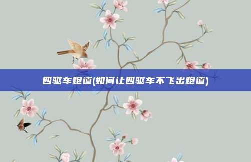 四驱车跑道(如何让四驱车不飞出跑道)