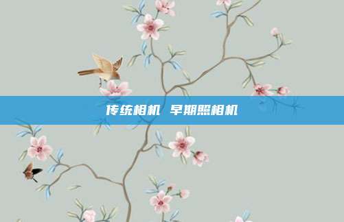 传统相机 早期照相机