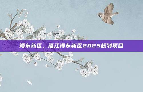 海东新区，湛江海东新区2025规划项目