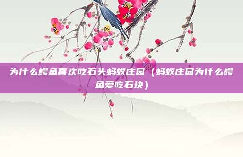为什么鳄鱼喜欢吃石头蚂蚁庄园(蚂蚁庄园为什么鳄鱼爱吃石块)