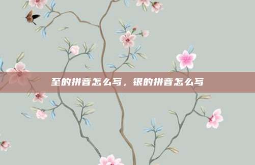 至的拼音怎么写,银的拼音怎么写