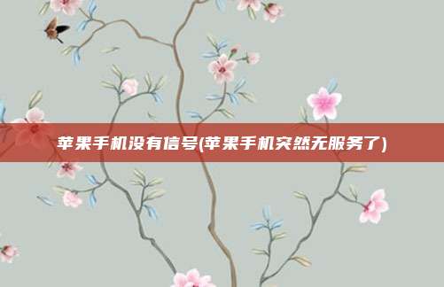 苹果手机没有信号(苹果手机突然无服务了)