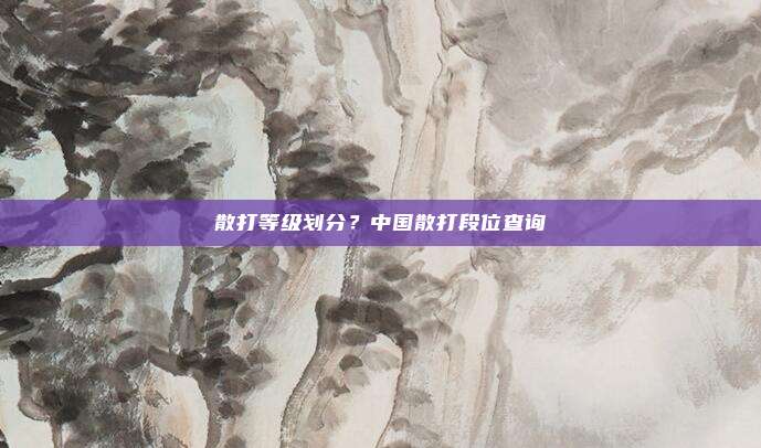 散打等级划分？中国散打段位查询