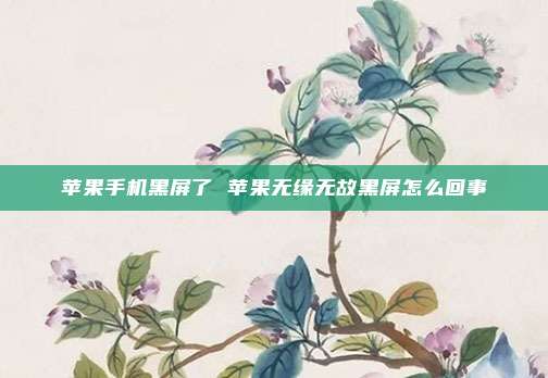 苹果手机黑屏了 苹果无缘无故黑屏怎么回事