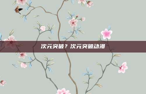 次元突破?次元突破动漫