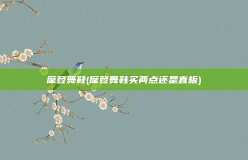 摩登舞鞋(摩登舞鞋买两点还是直板)