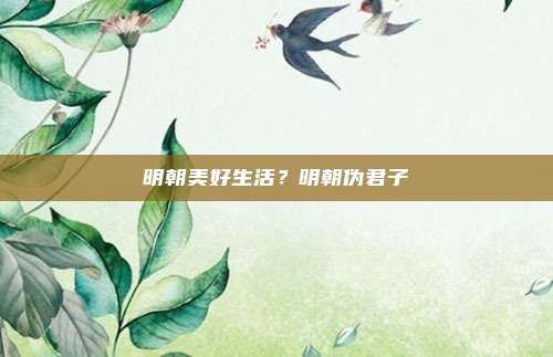 明朝美好生活?明朝伪君子