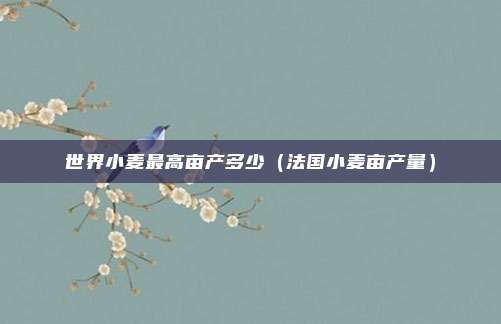 世界小麦最高亩产多少（法国小麦亩产量）