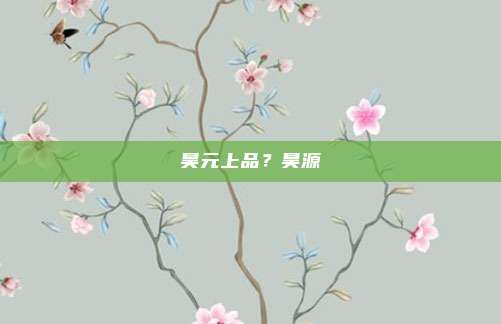 昊元上品?昊源