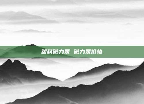 塑料磁力泵 磁力泵价格