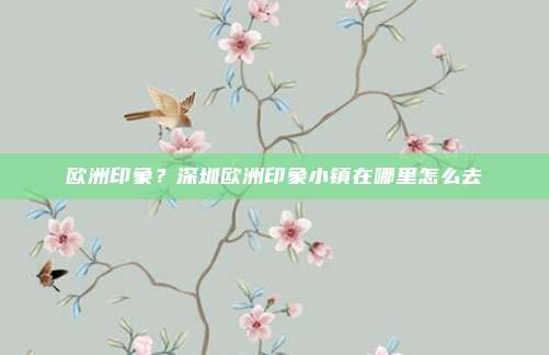欧洲印象？深圳欧洲印象小镇在哪里怎么去