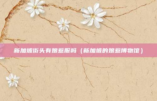 新加坡街头有娘惹服吗(新加坡的娘惹博物馆)