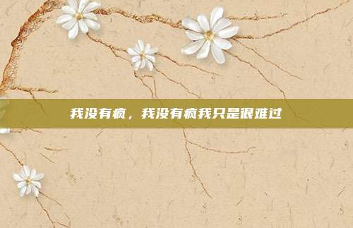 我没有疯，我没有疯我只是很难过