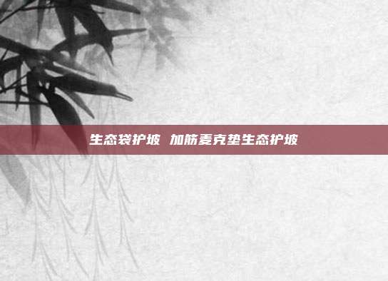 生态袋护坡 加筋麦克垫生态护坡