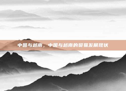 中国与越南,中国与越南的贸易发展现状