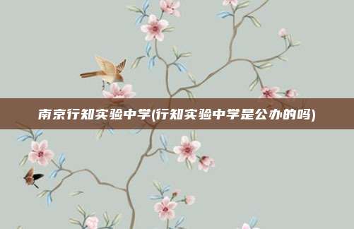 南京行知实验中学(行知实验中学是公办的吗)