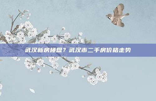 武汉新房楼盘?武汉市二手房价格走势
