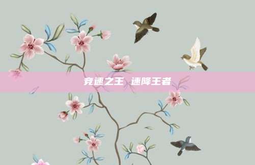 竞速之王 速降王者