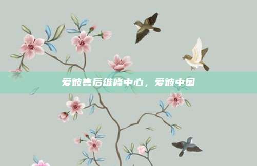 爱彼售后维修中心，爱彼中国