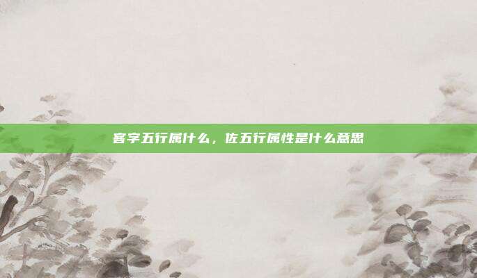 客字五行属什么,佐五行属性是什么意思